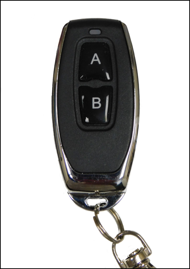 autocop spare remote price